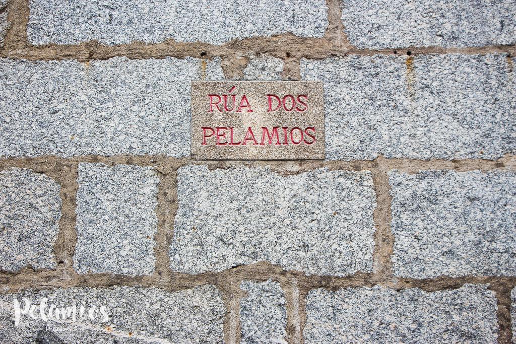 Pelamios House Apartment Santiago de Compostela Bagian luar foto